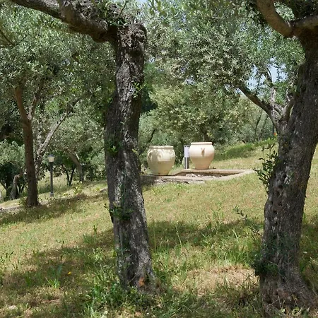 Il Borghettaccio Ассизи