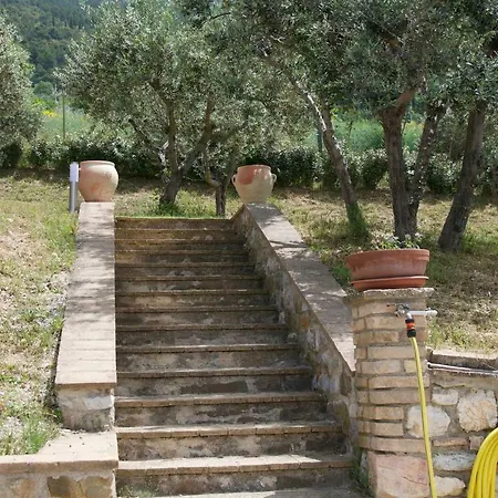 Il Borghettaccio